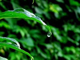 雨の日は外構工事は行えません