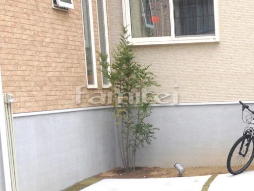 ����ܥ�ĥ꡼ ���ޥȥͥꥳ ���м� �����������ǥ���� TAKASHO�������硼 ����ץ륹�ݥåȥ饤��1�� �⥸�塼�륿����