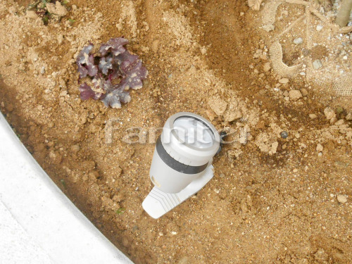 �����������ǥ�饤�Ⱦ��� TAKASHO�������硼 De-SPOT Ĵ�����100V����