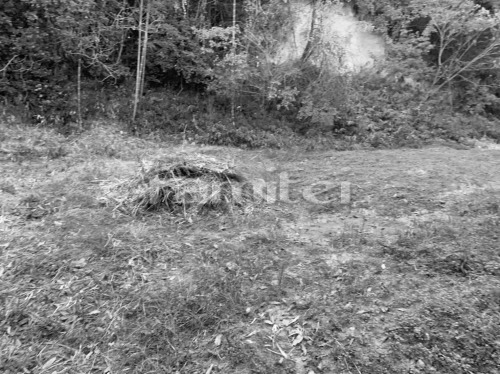 �ܹ���