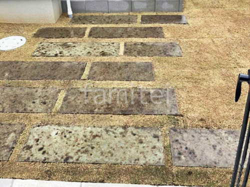 ���إ��ץ����� ��ʿ���ߤ� �˥å����������ƥꥢ �ڤ�Ф���ë��