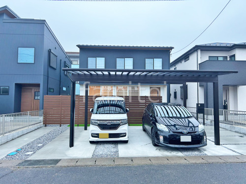 ��־쥬�졼���� �ڴ֥��󥯥꡼��