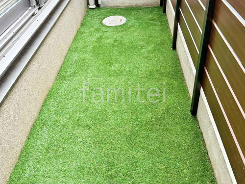 �͹��� ���𥷡��Ȳù� �襷�ߥ��ӿ� �ꥢ��͹��� 35mm 