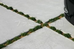 土間 草目地