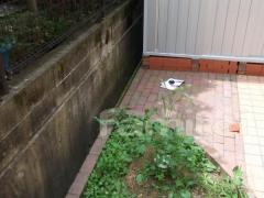 �ܹ���