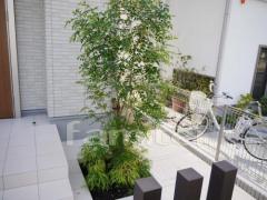 ����ܥ�ĥ꡼�ѥå������ޥȥͥꥳ���м�