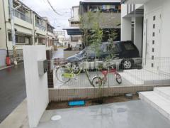 植栽 常緑シマトネリコ