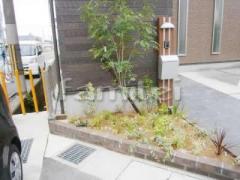��󥬲��� ��ǽ���� ����Ĵ����ߺ�ץ��ѡ���