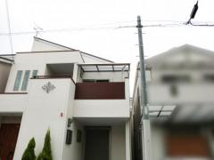 �٥������� �쥮��顼�ƥ饹����2�� ʪ����