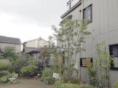 葉刈り剪定
