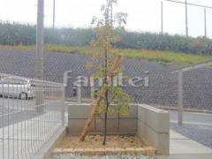 ���ؿ��� ����ܥ�ĥ꡼ �ۥ󥳥󥨥󥷥� ���м� ��饤�� �ԥ󥳥���