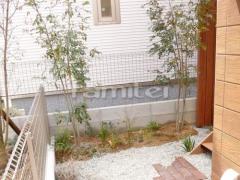 シンボルツリー シマトネリコ 常緑樹 下草 低木 植栽