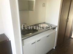 2�ϥ�ɥ뺮����� �⥿����