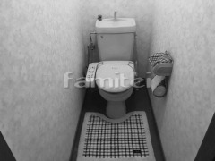 �ȥ��� �ܹ���