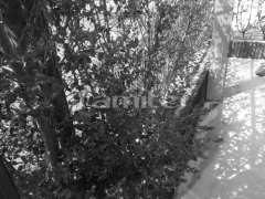 �ܹ���