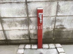Ω���� ��˥��� ���ץ쥹����� ��������å� �ظ�1�ĥ���С�