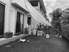 �ܹ���