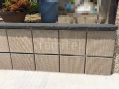 ��α�� ��˥��� ����� �١�����