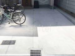 ��־쥬�졼���� �ڴ֥��󥯥꡼��