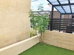 ����ܥ�ĥ꡼   ���ޥȥͥꥳ 