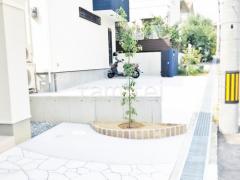 シンボルツリー ヤマボウシ
