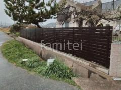 ���ο����Ρ��֥�֥饦��