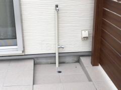 Ω���� ����꡼��� ���顼��W 