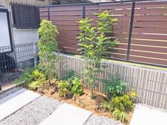 ���� ���� ����