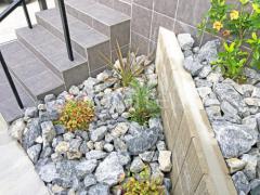 ロックガーデン 下草 植栽
