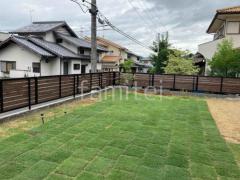 本体色:スモークナット