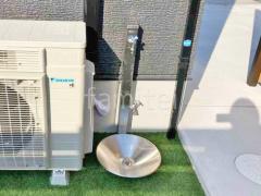 Ω���� ��˥��� ���ץ쥹�����60 �ظ�2�� �����(�ѥ�) ���㥤��ݥå�