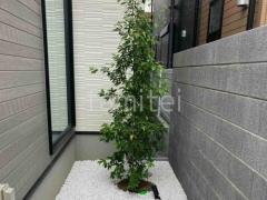 坪庭 シンボルツリー ヤマボウシ 落葉樹 植栽 化粧砂利 白仙 照明 Panasonic LGW40080LE1