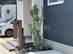 ロックガーデン シンボルツリー ソヨゴ 常緑樹 植栽