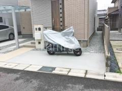 ��־쥬�졼���� �ڴ֥��󥯥꡼��