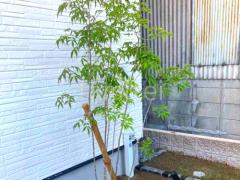 ����ܥ�ĥ꡼ ���ռ� �ޥ�Х������� ����