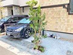 シンボルツリー ソヨゴ 常緑樹 植栽